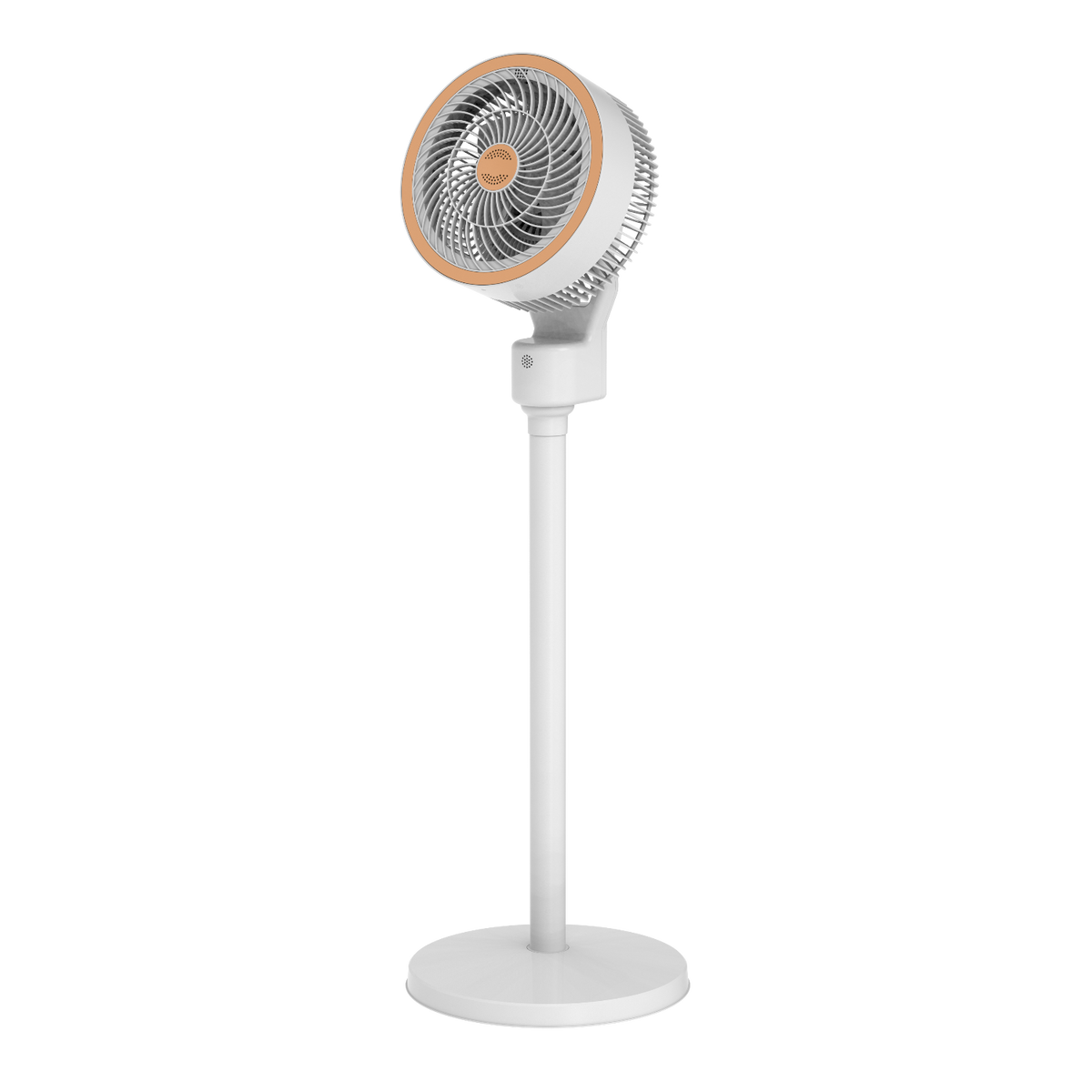 Standing Air Circulation Fan 1908